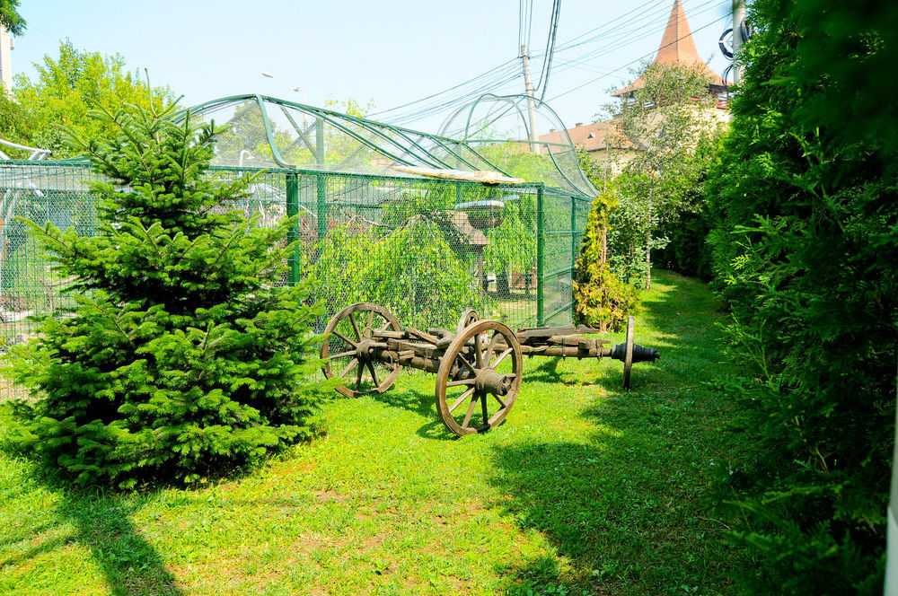 Pension La Cupola Târgu-Mureş Extérieur photo