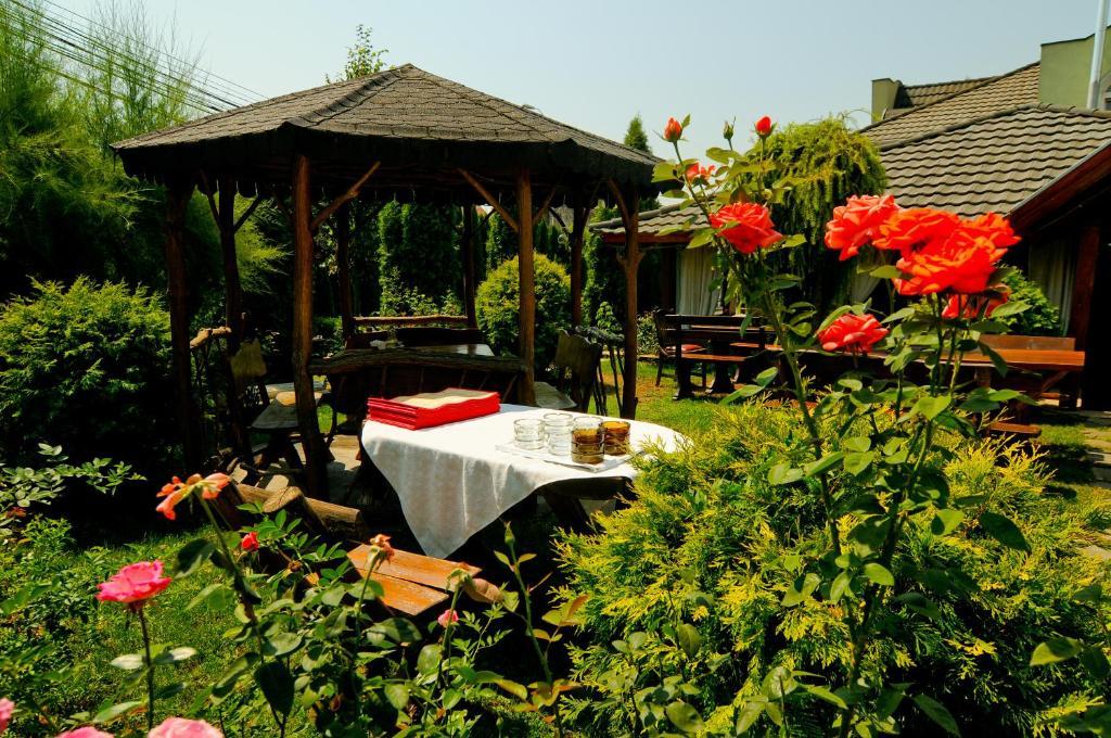 Pension La Cupola Târgu-Mureş Extérieur photo